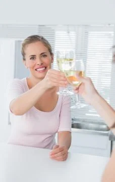 Radiant women holding glasses of white wine Stock Photos