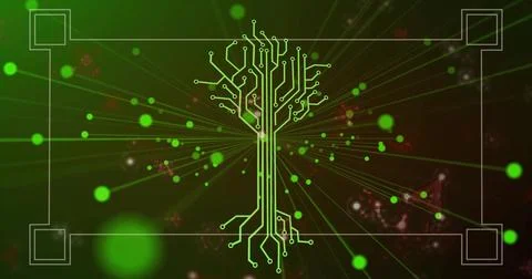 Radiating green circuit-tree graphic glowing in digital space, with glowing orbs Stock Illustration