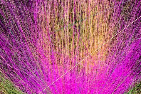 Radiative and glowing lines with gradient lines, 3d rendering. Stock Illustration