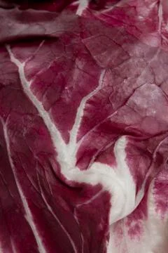 Radicchio Close Up Stock Photos