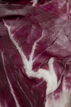 Radicchio close up Stock Photos
