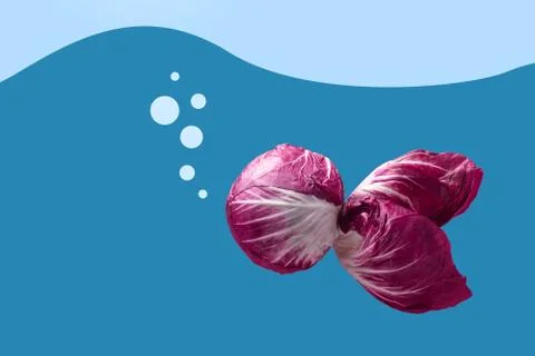 Radicchio fish Stock Photos
