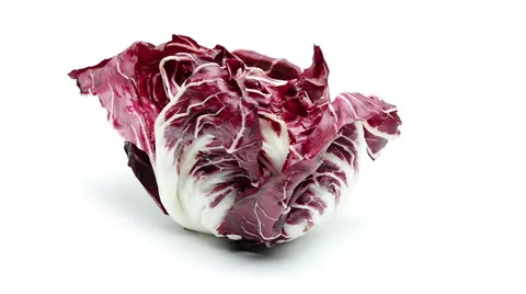 Radicchio on white background Stock Footage 50066536