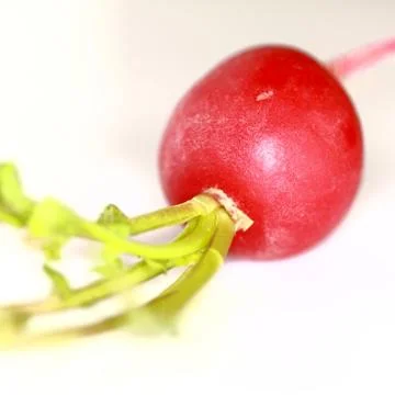 Radieschen - Bio Stock Photos