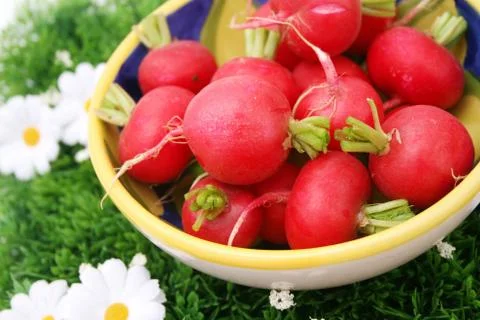 Radieschen Foto stock