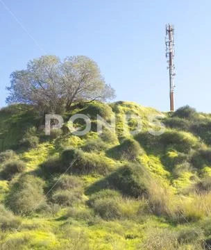 Radio and telephone broadcast antenna on a hill covered with green grass and Stock Photos