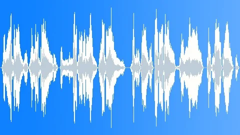 Radio announcer / Male voice Sound Effect