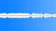 Radio broadcast of the soccer matchSound Effect