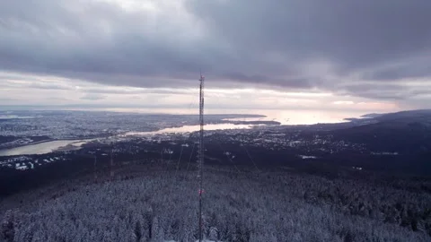 Radio cell tower in a winter forest with snow covered trees, 5g transmission Stock Footage 245953635