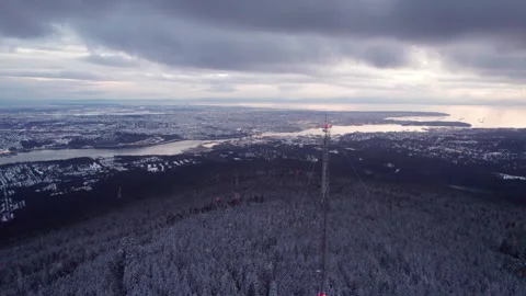 Radio cell tower in a winter forest with snow covered trees, 5g transmission Stock Footage 245953848