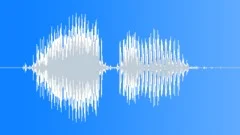 Radio Code / International Alphabet: Bravo - Military, Male, V3Sound Effect