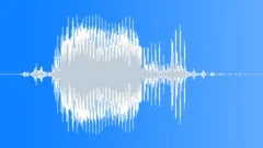 Radio Code / International Alphabet: Charlie - Military, Male, V3Sound Effect