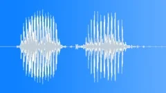 Radio Code / International Alphabet: Delta - Military, Male, V2Sound Effect