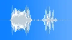 Radio Code / International Alphabet: Delta - Military, Male, V1Sound Effect