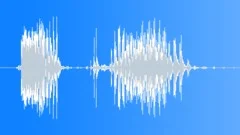 Radio Code / International Alphabet: Echo - Military, Male, V1Sound Effect