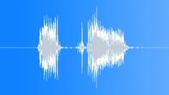Radio Code / International Alphabet: Echo - Military, Male, V3Sound Effect