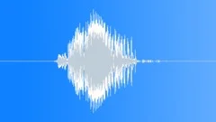Radio Code / International Alphabet: Golf - Military, Male, V1 Sound Effect