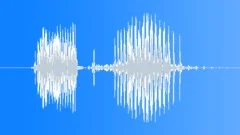 Radio Code / International Alphabet: Hotel - Military, Male, V1Sound Effect
