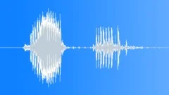 Radio Code / International Alphabet: Papa - Military, Male, V2 Sound Effect