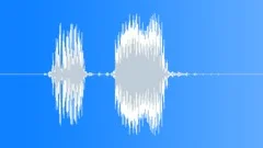 Radio Code / International Alphabet: Papa - Military, Male, V3Sound Effect