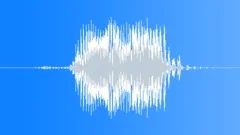 Radio Code / International Alphabet: Sierra - Military, Male, V2 Sound Effect