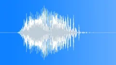 Radio Code / International Alphabet: Sierra - Military, Male, V1Sound Effect