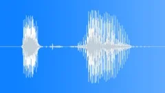 Radio Code / International Alphabet: X-Ray - Military, Male, V2 Sound Effect