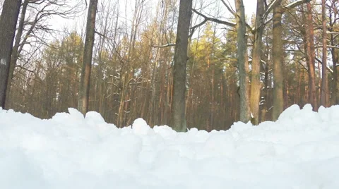 Radio-Controlled Machine 5 Stock Footage 34804661