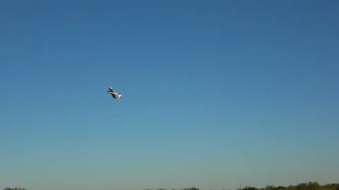 Radio controlled small airplane. Stock Footage 143035001