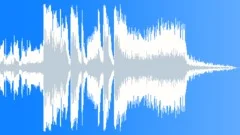 Radio Cuts 11Stock Music