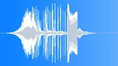 Radio Imaging Sound Effect 04 Sound Effect