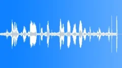 RADIO, POLICE Sound Effect