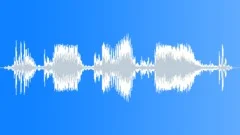 RADIO, POLICE Sound Effect