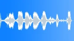 RADIO, POLICE Sound Effect