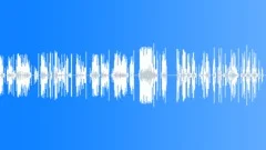 RADIO, POLICE Sound Effect