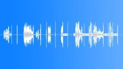 Radio Radios Mexican Police Radio Calls Close-Up Tijuana Police As Heard Throug Sound Effect
