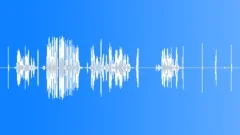 Radio Radios Mexican Police Radio Calls Close-Up Tijuana Police As Heard Throug Sound Effect