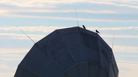 Radio telescope bird HD Video stock 30371812