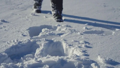 Radio telescopes in winter Vídeo Stock 70561425
