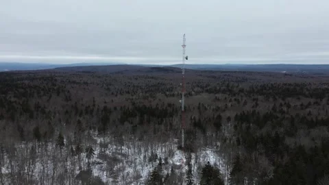 Radio tower in a winter forest. Stock Footage 267129865