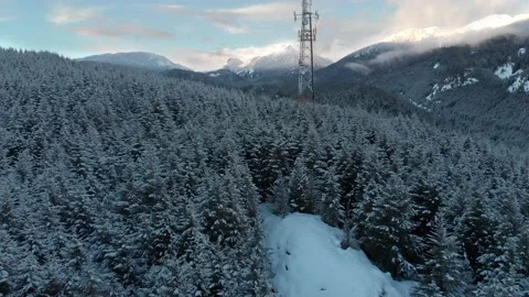 Radio tower in a winter forest with snow covered trees beautiful winter Stock Footage 149739177