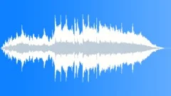 Radio-Tv tools - CHRISTMAS-NAVIDAD 019 (Wonderful Think)Stock Music