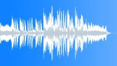 Radio-Tv tools - HOUSE 008 (Easy Housetto) Stock Music