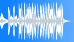 Radio-Tv tools - HOUSE 021 (Crazy Man) Stock Music