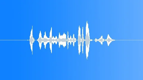 Radio Voice - Sport Announcement 002 Sound Effect