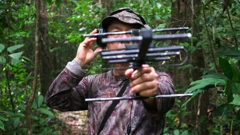 Radio wave technology has been developed for wildlife conservation. Stock Footage 157741087