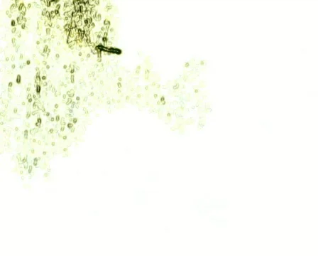 Radioactive Fluid 库存影片 103812