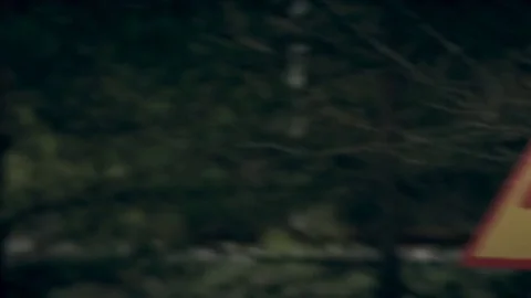 Radioactive Forest, Trees Infected by Radiation. Caution Radiation 動画素材 71697651
