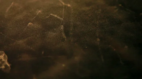 Radioactive particle cloud chamber. Stock Footage 24532388