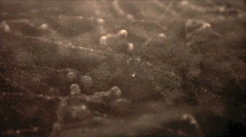 Radioactive particle cloud chamber. 库存影片 24533060